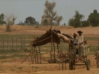 VIDEOS SWF GIF PREVENCION  CAMPO (1)